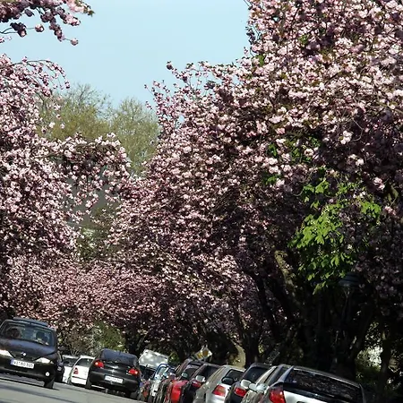 City-hotel Neubrunnenhof 3* Mohuč