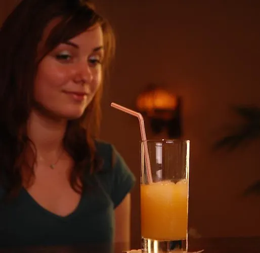 City-hotel Neubrunnenhof Szálloda Mainz