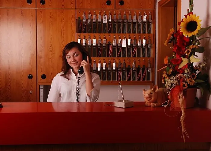 City-hotel Neubrunnenhof 3* Mainz