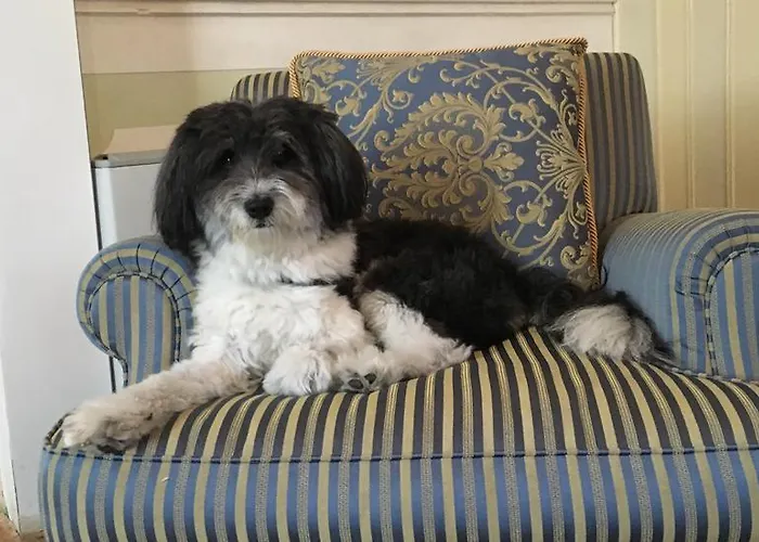 ホテル City-hotel Neubrunnenhof マインツ