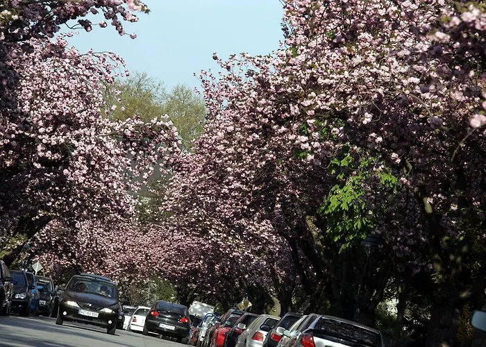 City-hotel Neubrunnenhof 3* マインツ