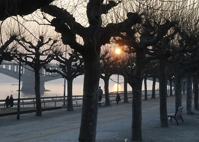 ホテル City-hotel Neubrunnenhof