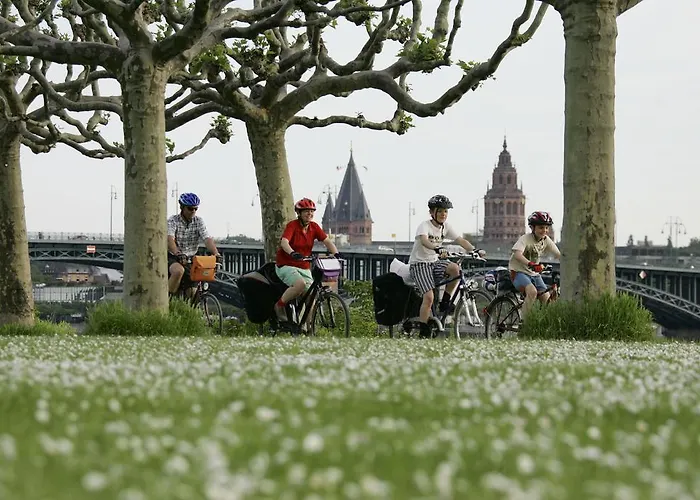 City-hotel Neubrunnenhof ホテル マインツ