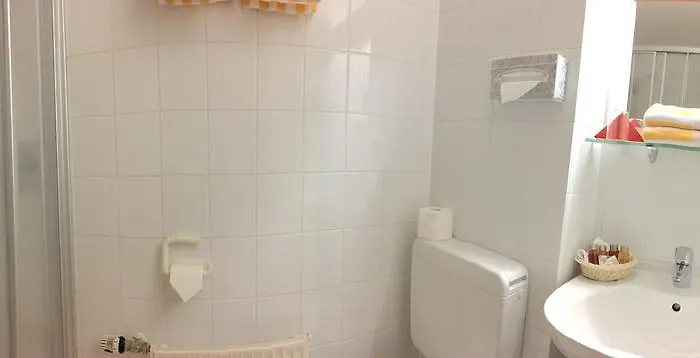 City-hotel Neubrunnenhof 3* マインツ