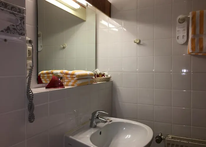 City-hotel Neubrunnenhof ホテル 3*