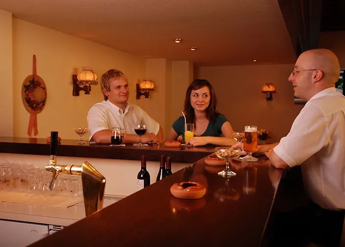 City-hotel Neubrunnenhof 3*